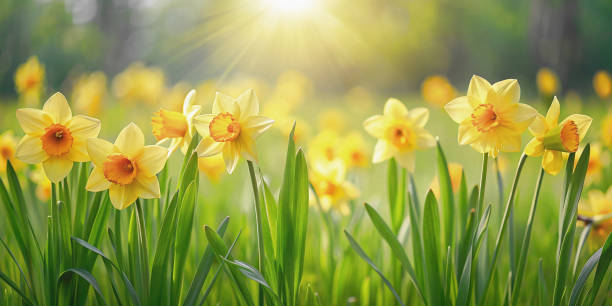 Get Your HVAC Ready for Spring Before Small Problems Turn Into Big Repairs