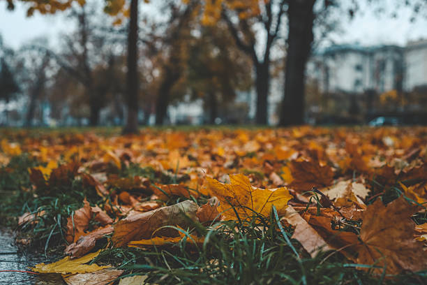Why Do I Need an AC Unit Inspection Before it Gets Cold?